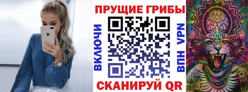 Псилоцибиновые грибы Cubensis  Мезень 